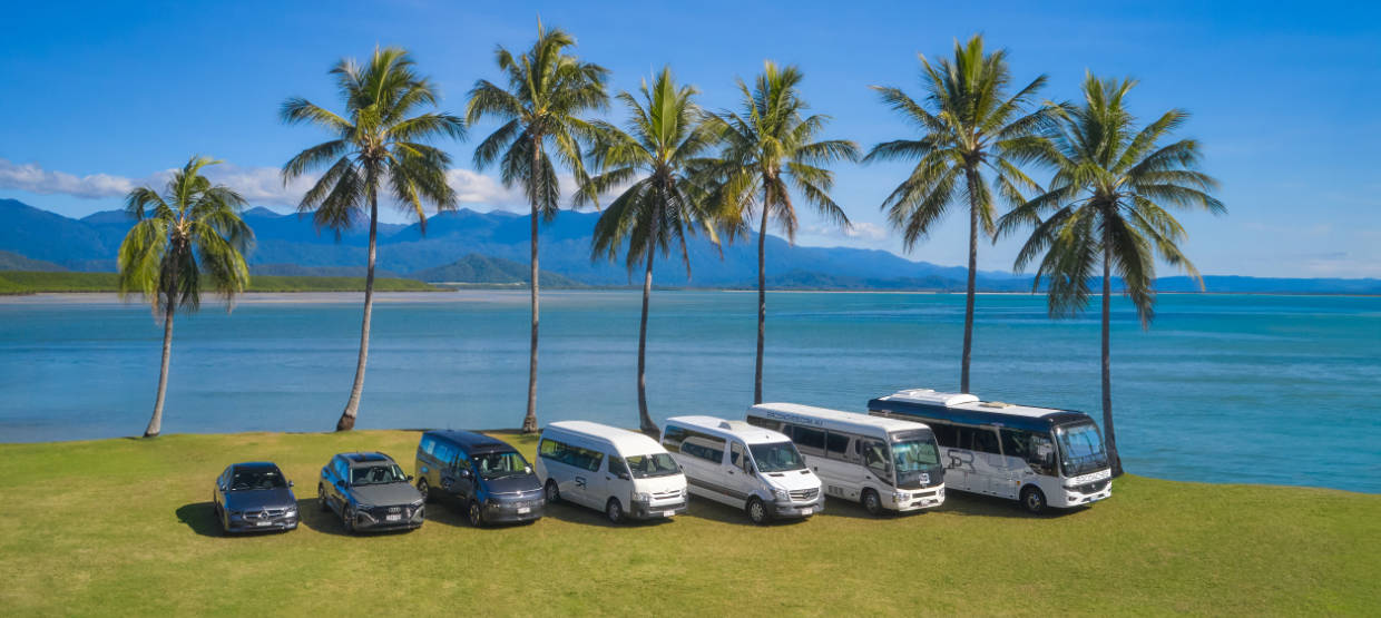 A photo of the SR Coaches fleet of vehicles under a line of palm trees